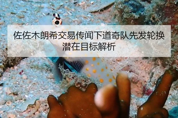 佐佐木朗希交易传闻下道奇队先发轮换潜在目标解析