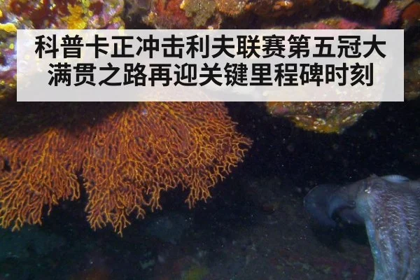 科普卡正冲击利夫联赛第五冠大满贯之路再迎关键里程碑时刻